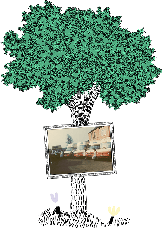 Tree with family photo